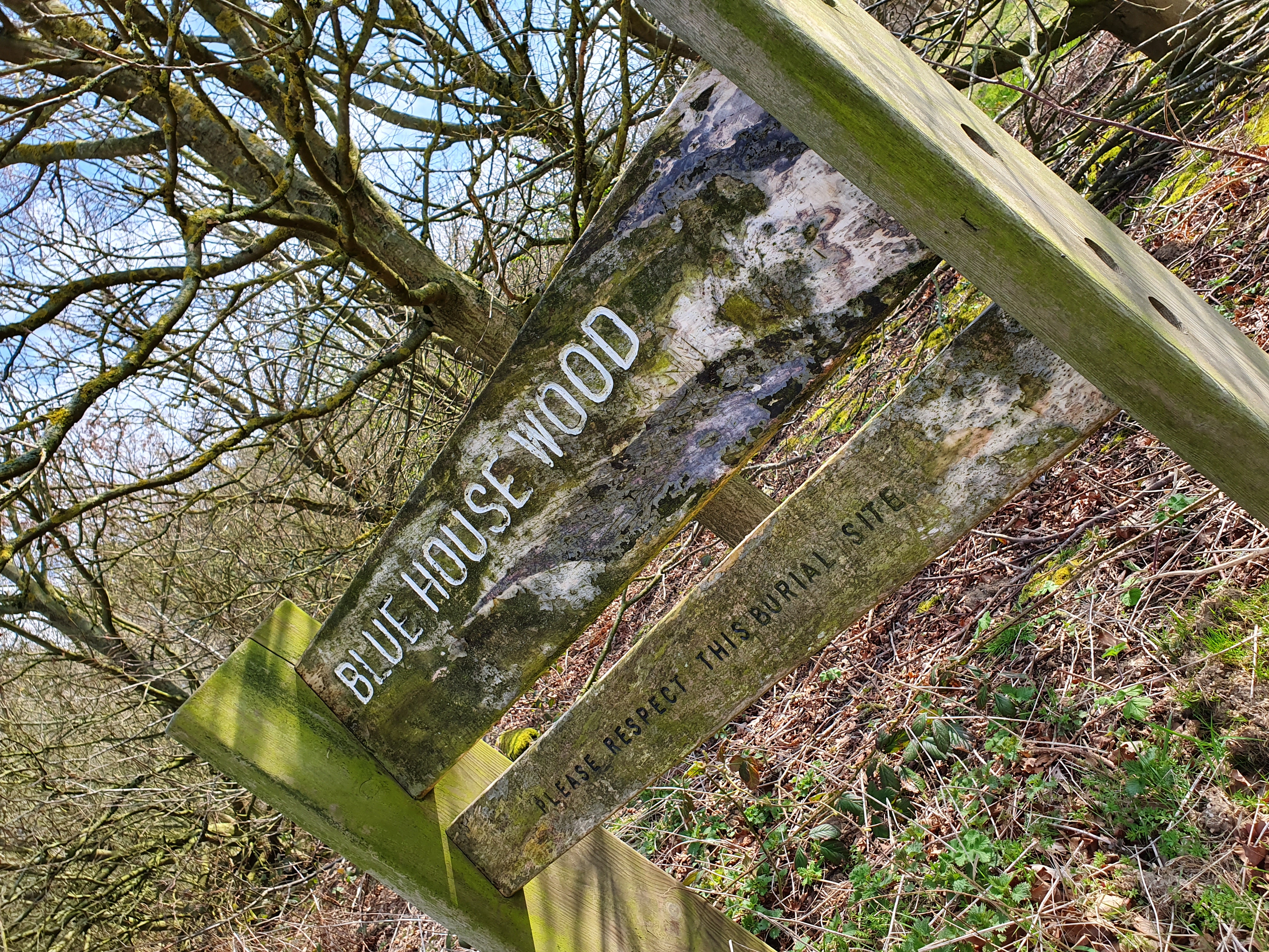 Woodland Burial